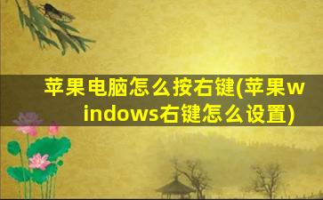 苹果电脑怎么按右键(苹果windows右键怎么设置)