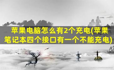 苹果电脑怎么有2个充电(苹果笔记本四个接口有一个不能充电)