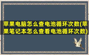 苹果电脑怎么查电池循环次数(苹果笔记本怎么查看电池循环次数)