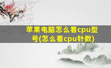 苹果电脑怎么看cpu型号(怎么看cpu针数)