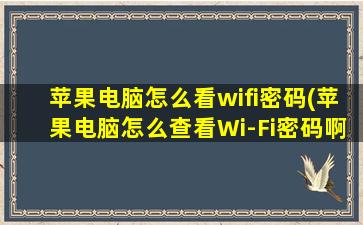 苹果电脑怎么看wifi密码(苹果电脑怎么查看Wi-Fi密码啊)