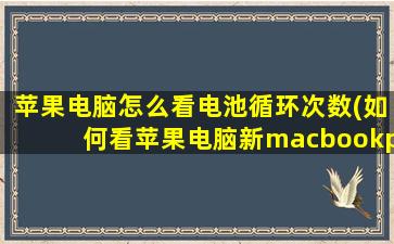 苹果电脑怎么看电池循环次数(如何看苹果电脑新macbookpro电池循环次数)