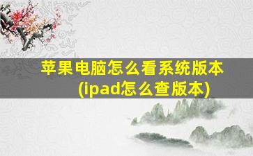 苹果电脑怎么看系统版本(ipad怎么查版本)