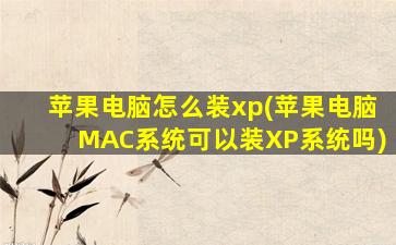 苹果电脑怎么装xp(苹果电脑MAC系统可以装XP系统吗)