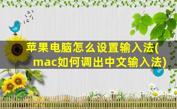 苹果电脑怎么设置输入法(mac如何调出中文输入法)