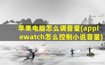 苹果电脑怎么调音量(applewatch怎么控制小说音量)