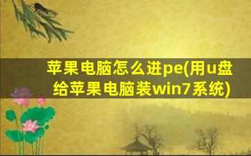 苹果电脑怎么进pe(用u盘给苹果电脑装win7系统)