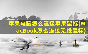 苹果电脑怎么连接苹果鼠标(MacBook怎么连接无线鼠标)