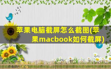 苹果电脑截屏怎么截图(苹果macbook如何截屏)