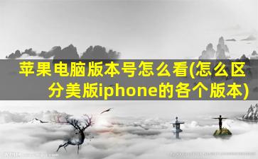 苹果电脑版本号怎么看(怎么区分美版iphone的各个版本)