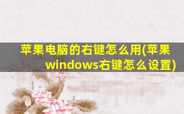 苹果电脑的右键怎么用(苹果windows右键怎么设置)