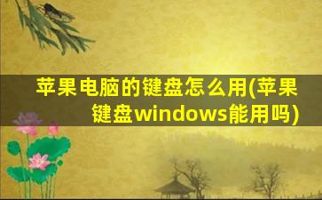 苹果电脑的键盘怎么用(苹果键盘windows能用吗)