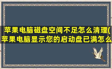 苹果电脑磁盘空间不足怎么清理(苹果电脑显示您的启动盘已满怎么清理)