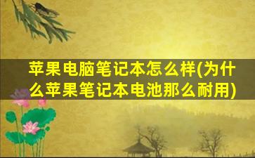 苹果电脑笔记本怎么样(为什么苹果笔记本电池那么耐用)