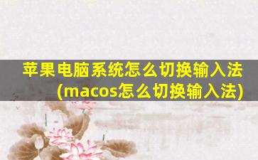 苹果电脑系统怎么切换输入法(macos怎么切换输入法)