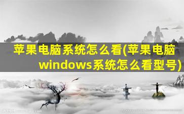 苹果电脑系统怎么看(苹果电脑windows系统怎么看型号)