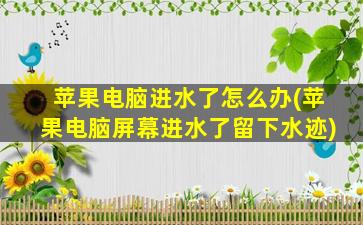 苹果电脑进水了怎么办(苹果电脑屏幕进水了留下水迹)