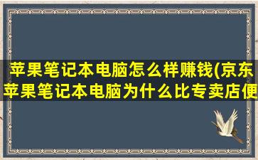 苹果笔记本电脑怎么样赚钱(京东苹果笔记本电脑为什么比专卖店便宜)