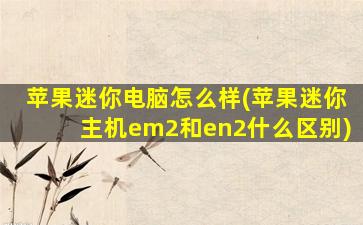 苹果迷你电脑怎么样(苹果迷你主机em2和en2什么区别)