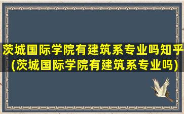 茨城国际学院有建筑系专业吗知乎(茨城国际学院有建筑系专业吗)