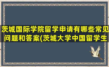 茨城国际学院留学申请有哪些常见问题和答案(茨城大学中国留学生多吗)