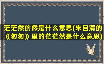 茫茫然的然是什么意思(朱自清的《匆匆》里的茫茫然是什么意思)