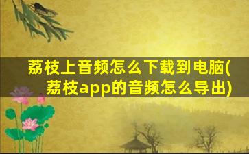 荔枝上音频怎么下载到电脑(荔枝app的音频怎么导出)