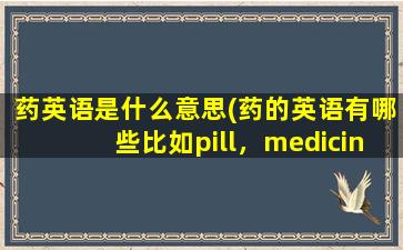 药英语是什么意思(药的英语有哪些比如pill，medicine)