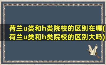 荷兰u类和h类院校的区别在哪(荷兰u类和h类院校的区别大吗)