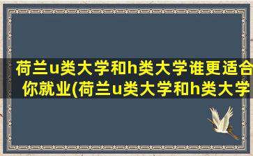 荷兰u类大学和h类大学谁更适合你就业(荷兰u类大学和h类大学谁更适合你读)