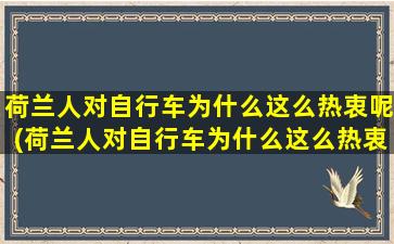 荷兰人对自行车为什么这么热衷呢(荷兰人对自行车为什么这么热衷呢英文)