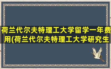 荷兰代尔夫特理工大学留学一年费用(荷兰代尔夫特理工大学研究生申请条件)