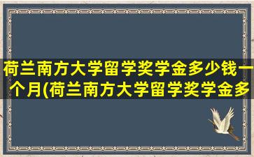 荷兰南方大学留学奖学金多少钱一个月(荷兰南方大学留学奖学金多少钱啊)