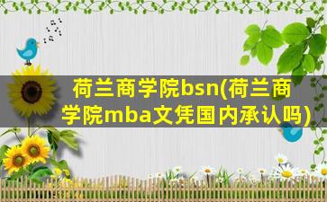 荷兰商学院bsn(荷兰商学院mba文凭国内承认吗)