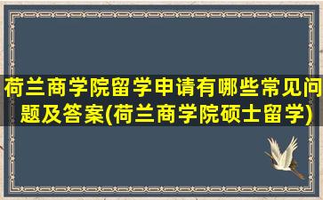 荷兰商学院留学申请有哪些常见问题及答案(荷兰商学院硕士留学)