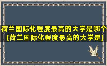 荷兰国际化程度最高的大学是哪个(荷兰国际化程度最高的大学是)