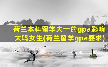 荷兰本科留学大一的gpa影响大吗女生(荷兰留学gpa要求)