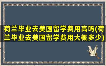 荷兰毕业去美国留学费用高吗(荷兰毕业去美国留学费用大概多少)