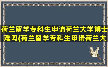 荷兰留学专科生申请荷兰大学博士难吗(荷兰留学专科生申请荷兰大学要多少钱)