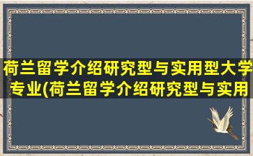 荷兰留学介绍研究型与实用型大学专业(荷兰留学介绍研究型与实用型大学有区别吗)