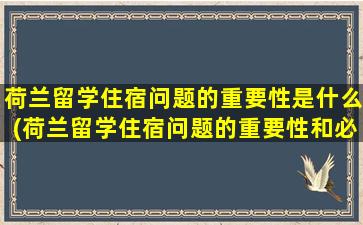 荷兰留学住宿问题的重要性是什么(荷兰留学住宿问题的重要性和必要性)