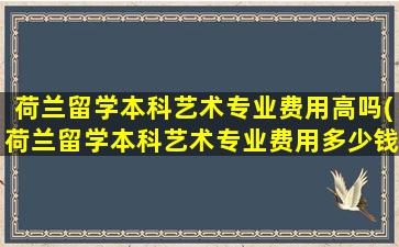 荷兰留学本科艺术专业费用高吗(荷兰留学本科艺术专业费用多少钱)