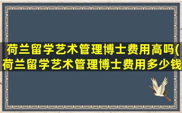 荷兰留学艺术管理博士费用高吗(荷兰留学艺术管理博士费用多少钱)