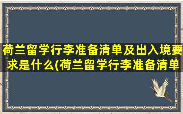 荷兰留学行李准备清单及出入境要求是什么(荷兰留学行李准备清单及出入境要求最新)