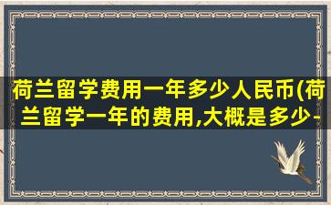 荷兰留学费用一年多少人民币(荷兰留学一年的费用,大概是多少-)