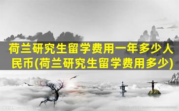 荷兰研究生留学费用一年多少人民币(荷兰研究生留学费用多少)