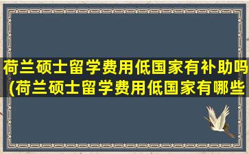 荷兰硕士留学费用低国家有补助吗(荷兰硕士留学费用低国家有哪些)