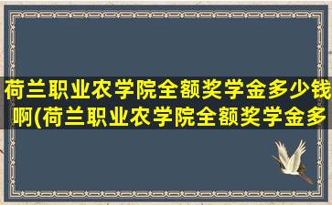 荷兰职业农学院全额奖学金多少钱啊(荷兰职业农学院全额奖学金多少钱一个月)