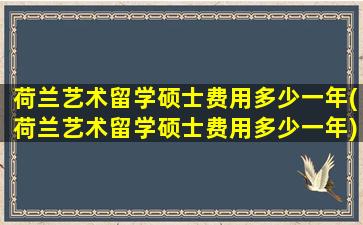 荷兰艺术留学硕士费用多少一年(荷兰艺术留学硕士费用多少一年)