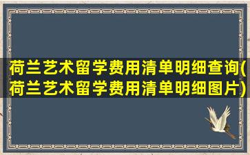 荷兰艺术留学费用清单明细查询(荷兰艺术留学费用清单明细图片)